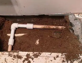 合浦测漏水哪家好