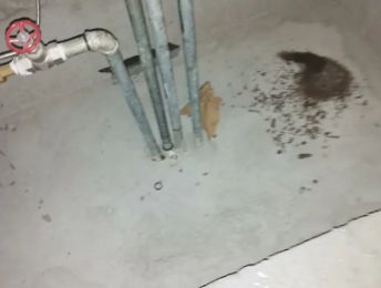 合浦卫生间测漏水价格明细